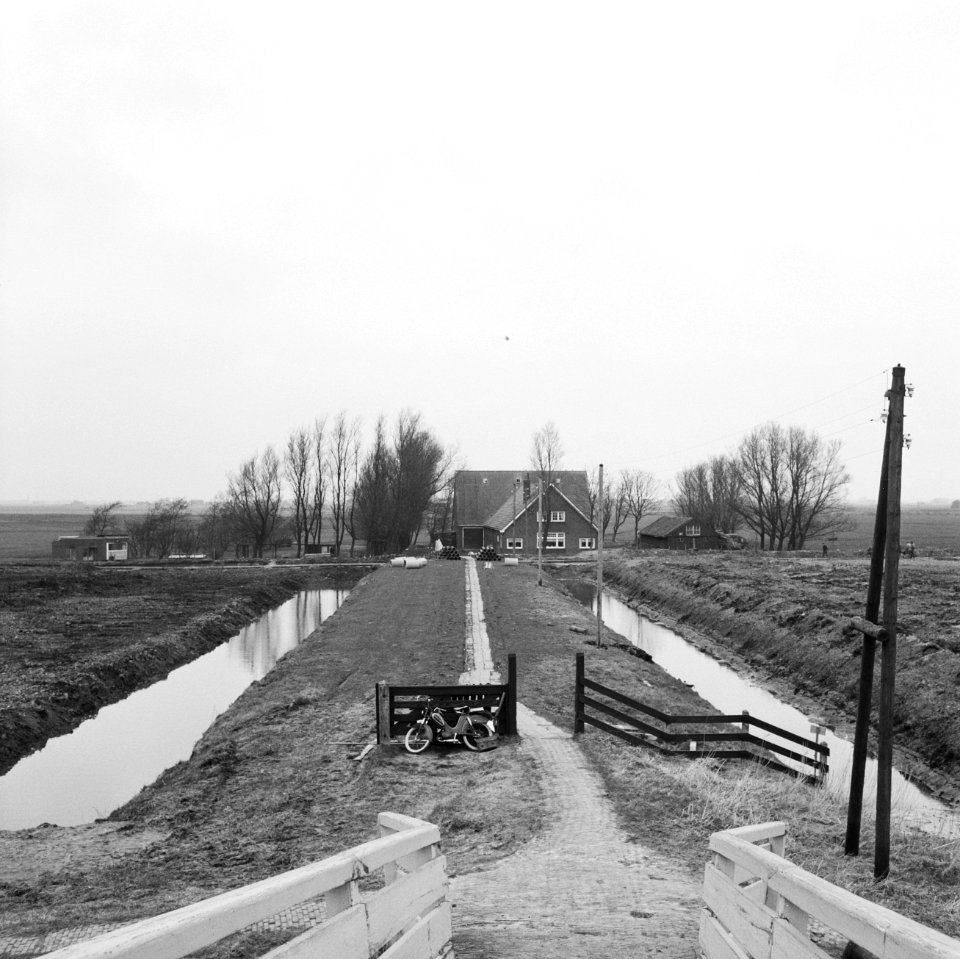 Nieuwe Polder. Schaapskuilmeerpolder, Bestanddeelnr 163-0245