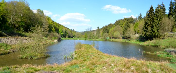 Niederreifenberg, Oberer Bärenfichtenweiher (7)