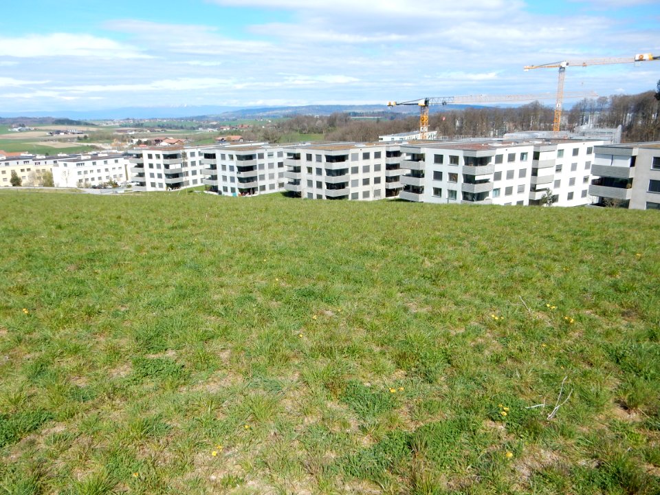 Niederwangen bei Bern - Siedlung Papillon 10
