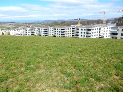 Niederwangen bei Bern - Siedlung Papillon 10