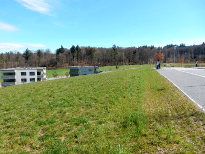 Niederwangen bei Bern - Siedlung Papillon 12