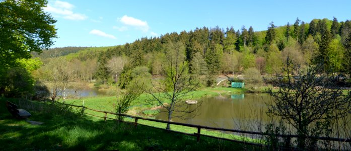 Niederreifenberg, Oberer Bärenfichtenweiher (4)