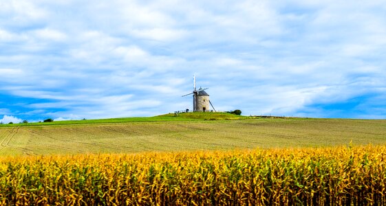 Landscape field harvest