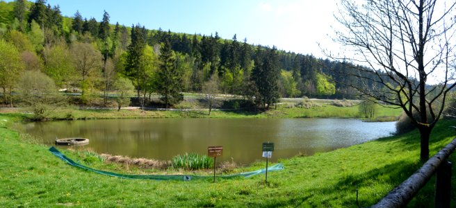Niederreifenberg, Oberer Bärenfichtenweiher (3)