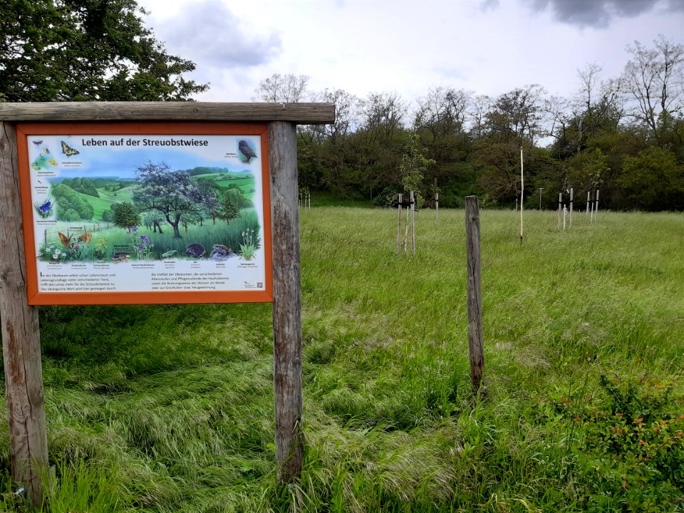 Niemberg, Streuobstwiese