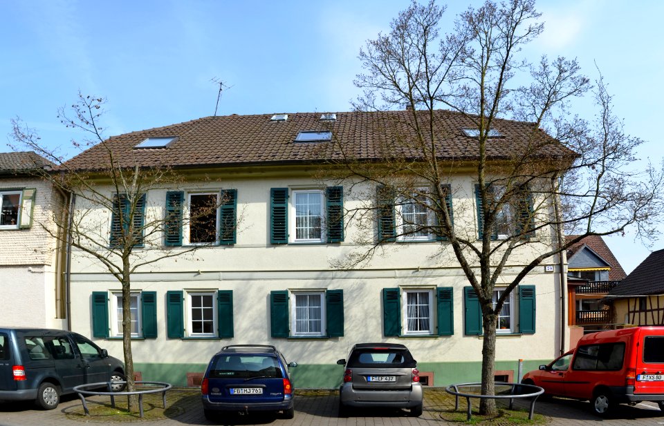 Nieder-Erlenbach, Alt Erlenbach 20