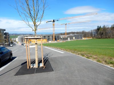 Niederwangen bei Bern - Siedlung Papillon 16