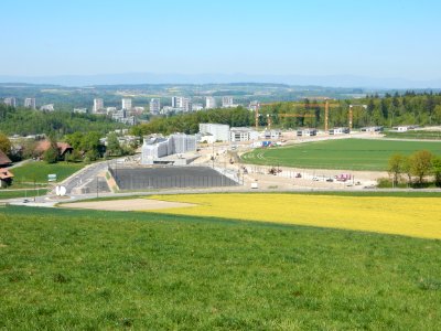 Niederwangen Schule Ried und Papillon 01