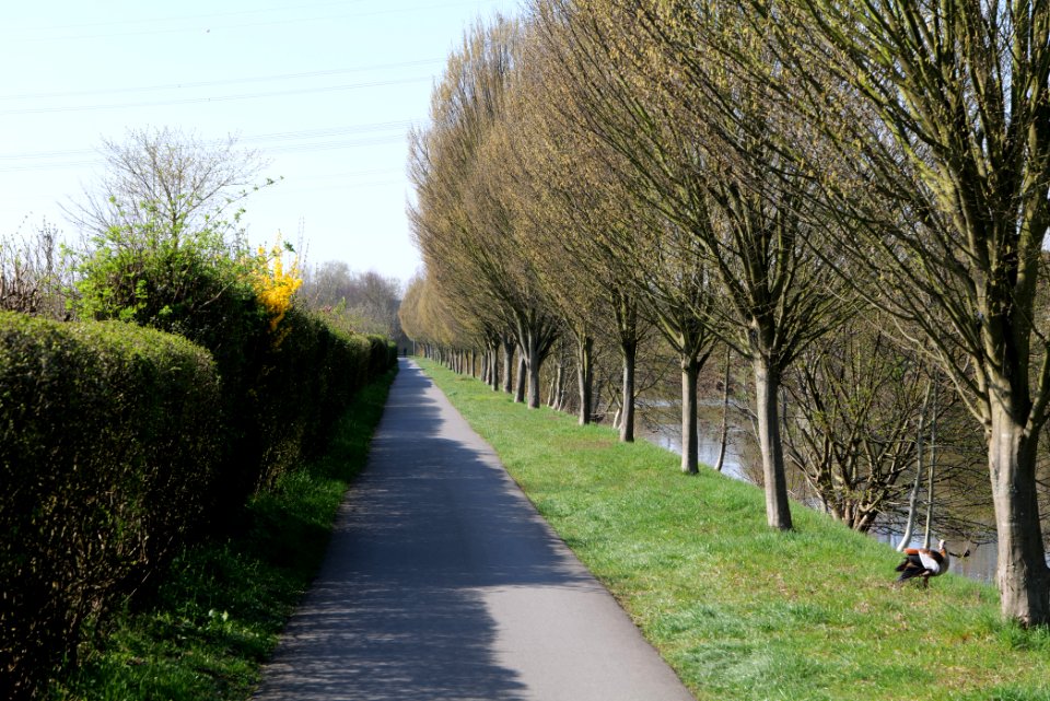 Nidda in Rödelheim 2020-03-27 02