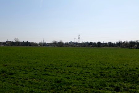 Niddawiesen Nied 2020-03-27 02