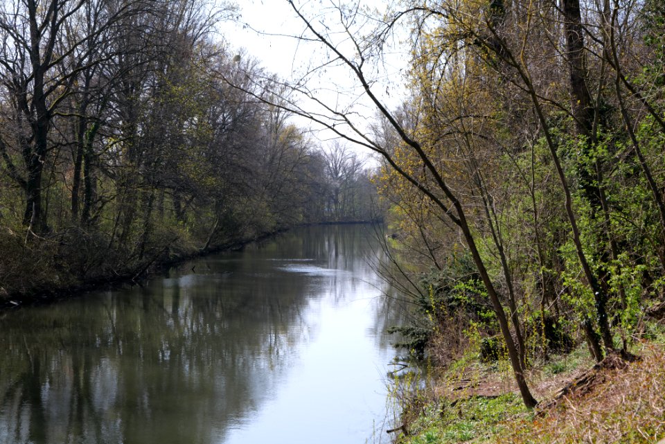 Nidda near Brentano 2020-03-27 03