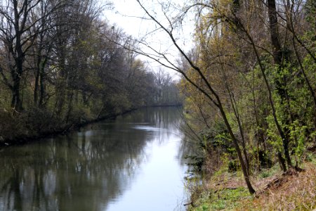 Nidda near Brentano 2020-03-27 03