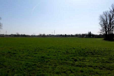 Niddawiesen Nied 2020-03-27 03