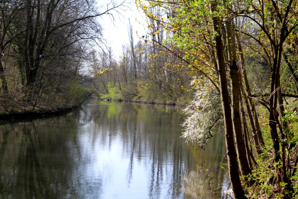 Nidda near Brentano 2020-03-27 02