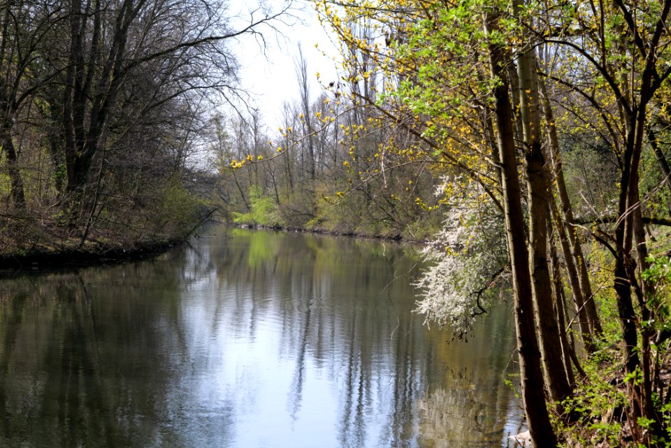 Nidda near Brentano 2020-03-27 01