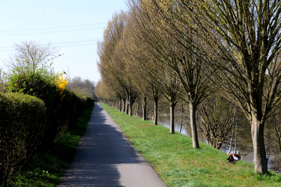 Nidda in Rödelheim 2020-03-27 01