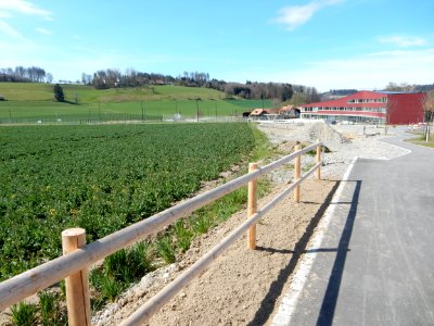 Niederwangen bei Bern - Siedlung Papillon 7