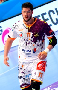 Nicolas Tournat 20170401