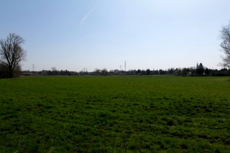 Niddawiesen Nied 2020-03-27 01