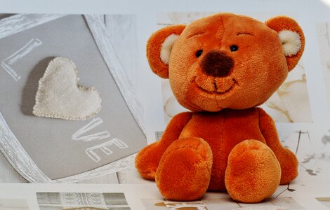 Bears plush sweet