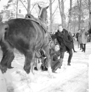 Ondertrouw prinses Beatrix en Claus in Baarn, tijdens rijtoer na de plechtigheid, Bestanddeelnr 918-7883
