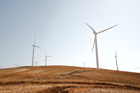 Grass wind turbines windmills photo