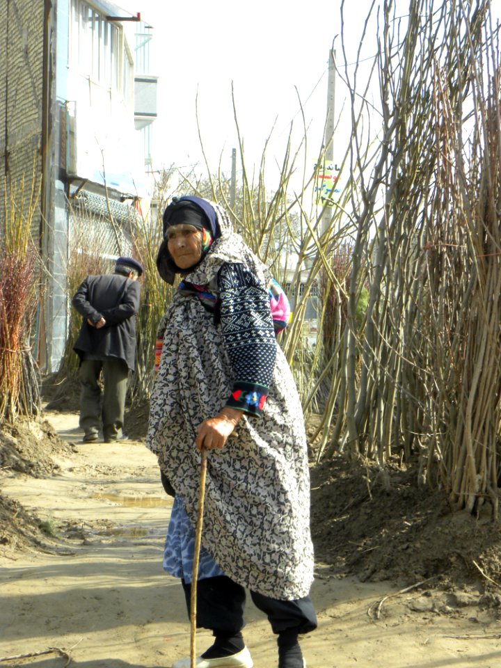 Old woman in Canebrake in Nishapur 1