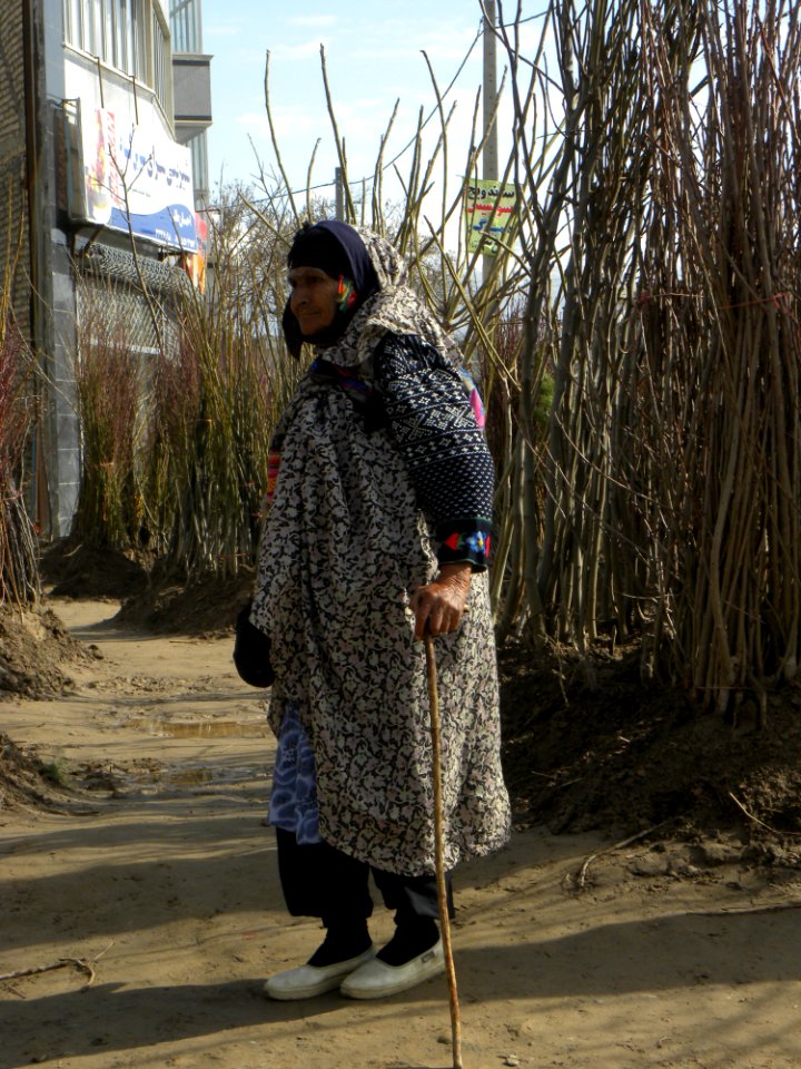 Old woman in Canebrake in Nishapur 5