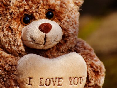 Plush sweet bears