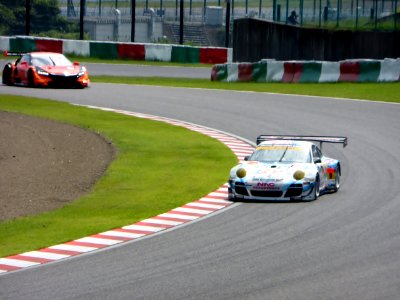 One scene at 2014 pokka sapporo 1000km (9)