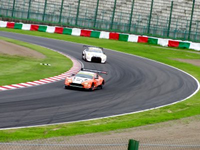 One scene in 2012 Pokka 1000km (2)