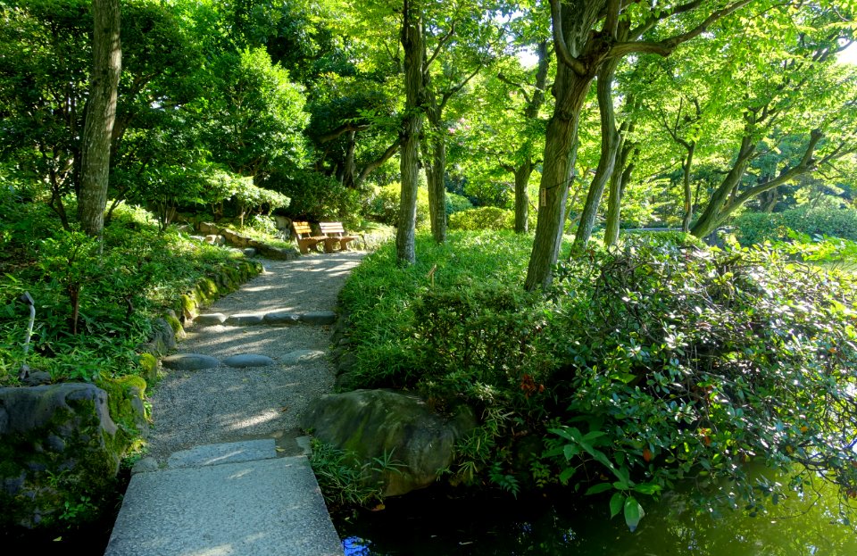 Old Yasuda Garden - Tokyo, Japan - DSC06537