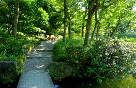 Old Yasuda Garden - Tokyo, Japan - DSC06537