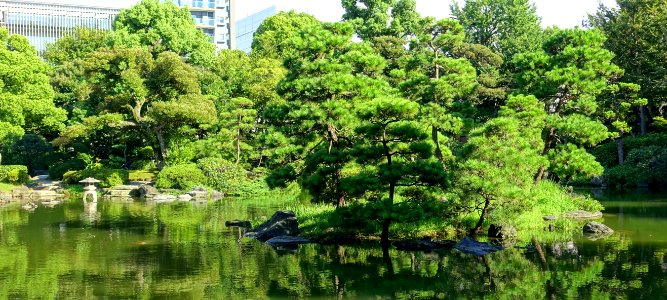 Old Yasuda Garden - Tokyo, Japan - DSC06555