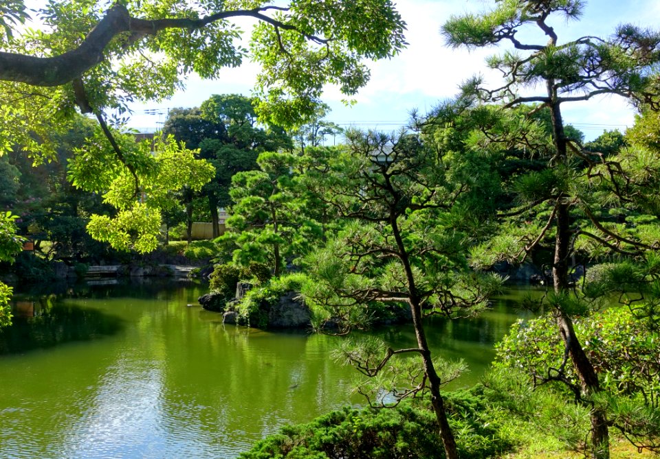 Old Yasuda Garden - Tokyo, Japan - DSC06501