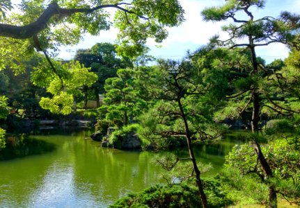 Old Yasuda Garden - Tokyo, Japan - DSC06501