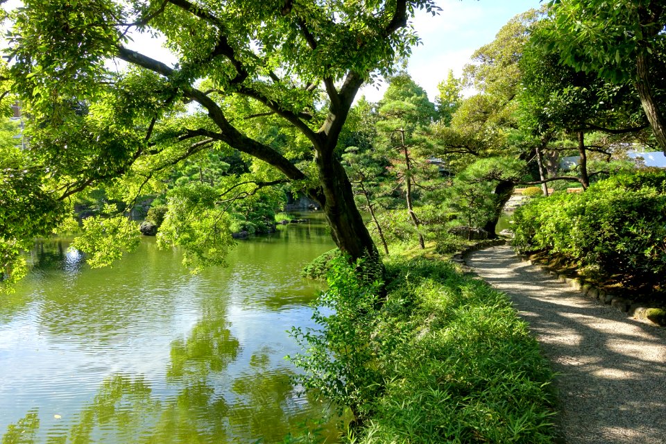 Old Yasuda Garden - Tokyo, Japan - DSC06499