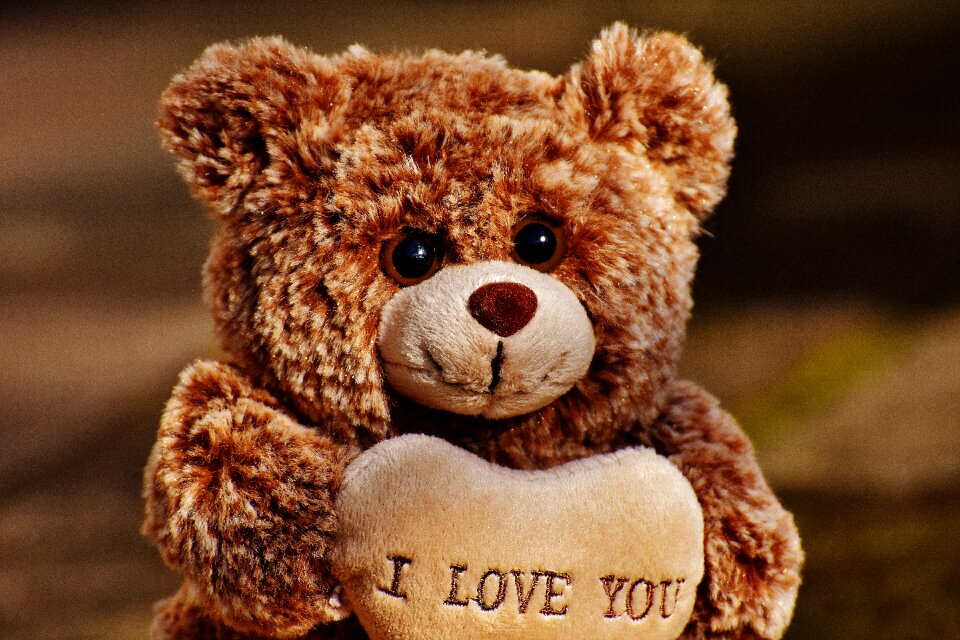 Cute stuffed animal valentine's day
