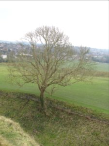 Old Sarum March 2018 07