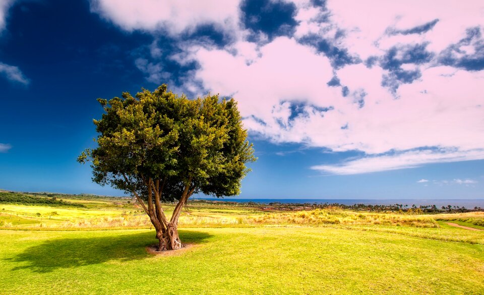 Isolated alone sea