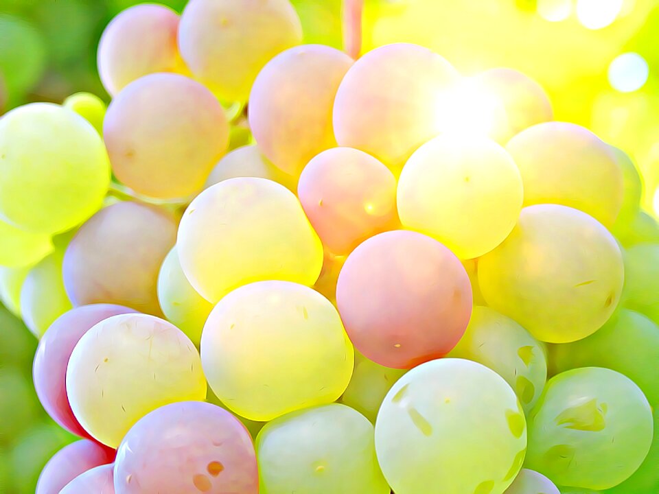 Cluster crop berry crop fruit