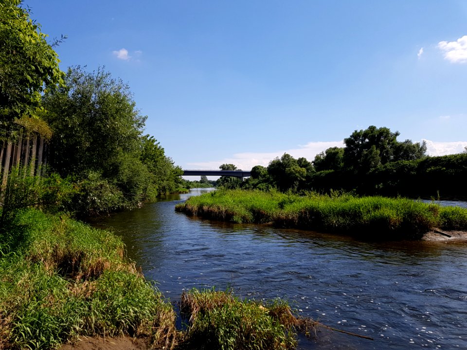 Olza, most drogowy na Odrze (4)