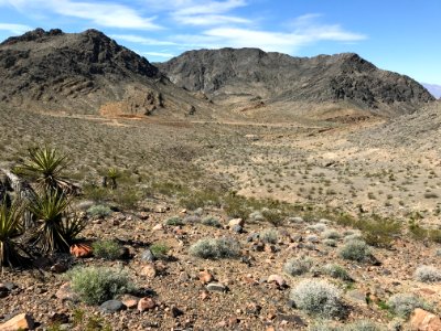 One Mile North of the Old Spanish Trail highway in Inyo County, California photo