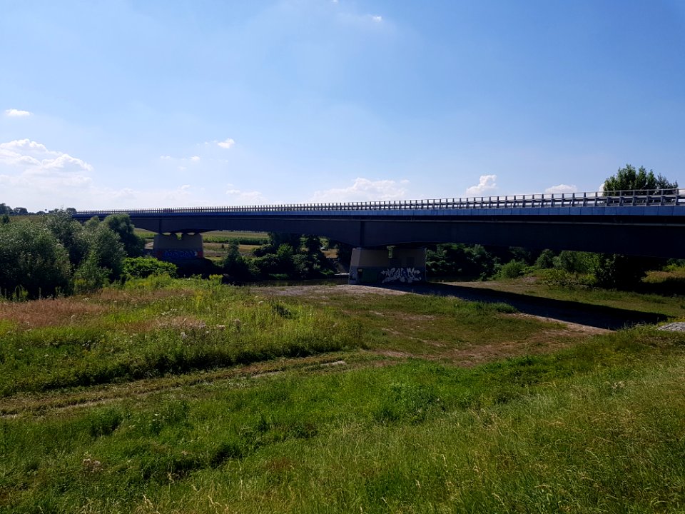 Olza, most drogowy na Odrze (2)