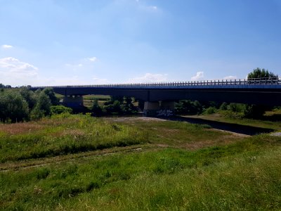 Olza, most drogowy na Odrze (2)