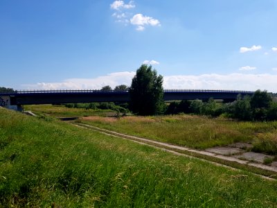 Olza, most drogowy na Odrze (3)