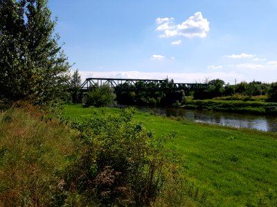 Olza, most kolejowy (5)