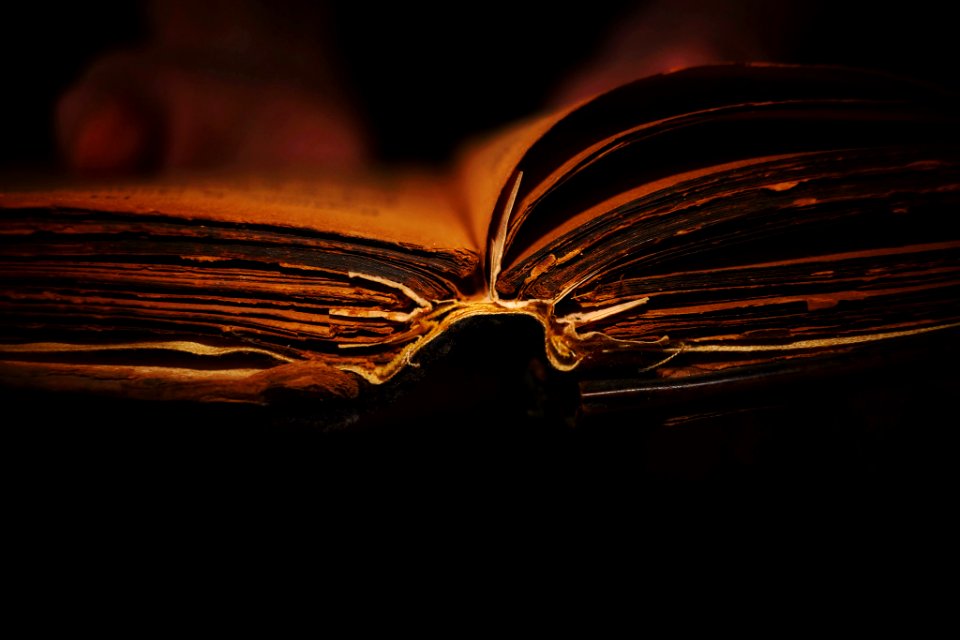 Old Prayer Book (245997239)