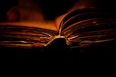 Old Prayer Book (245997239)