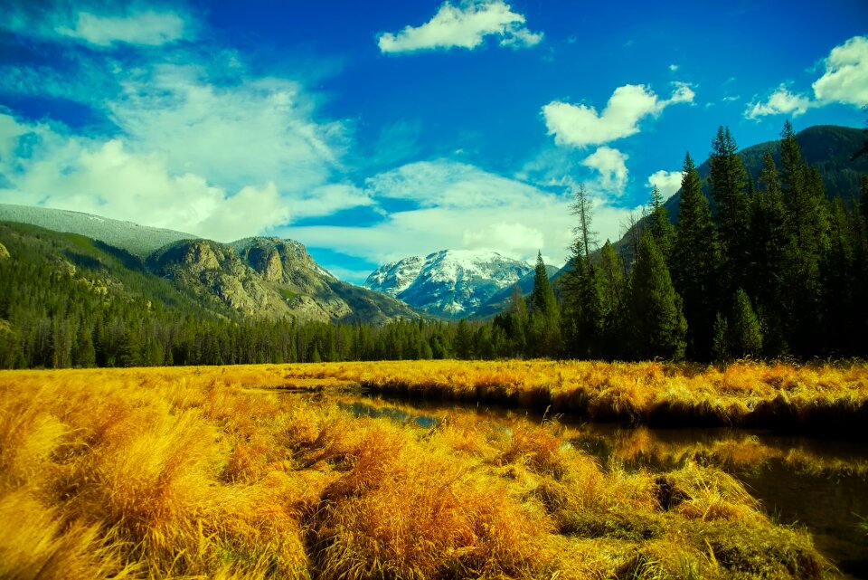 Meadow field stream